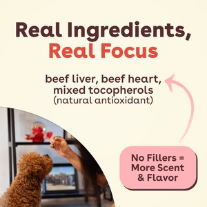 Pupford Train Beef Liver Natural Freeze-Dried Dog Treats, 4-oz bag