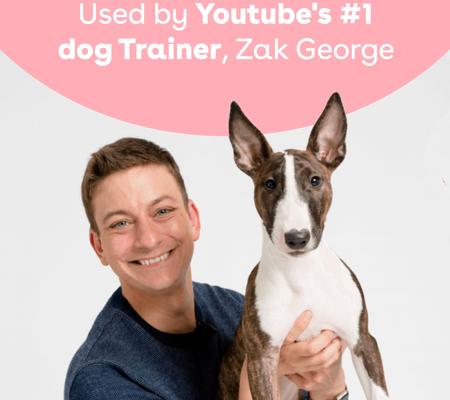 Show full view: Pupford Train Beef Liver Natural Freeze-Dried Dog Treats, 4-oz bag slide 6 of 11