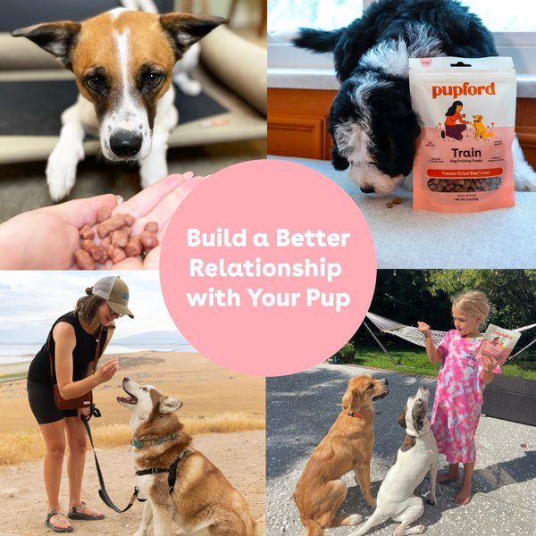 Show full view: Pupford Train Beef Liver Natural Freeze-Dried Dog Treats, 4-oz bag slide 8 of 12
