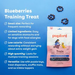 Pupford Train Blueberry Natural Freeze-Dried Dog Treats, 2-oz bag slide 2 of 8