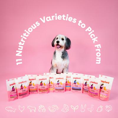 Show full view: Pupford Train Blueberry Natural Freeze-Dried Dog Treats, 2-oz bag slide 8 of 11