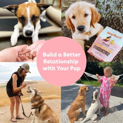 Show full view: Pupford Train Chicken Natural Freeze-Dried Dog Treats, 4-oz bag slide 9 of 13