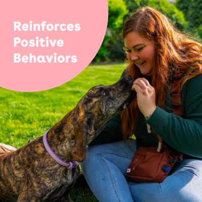 Show full view: Pupford Train Duck & Veggies Natural Freeze-Dried Dog Treats, 5-oz pouch slide 4 of 10