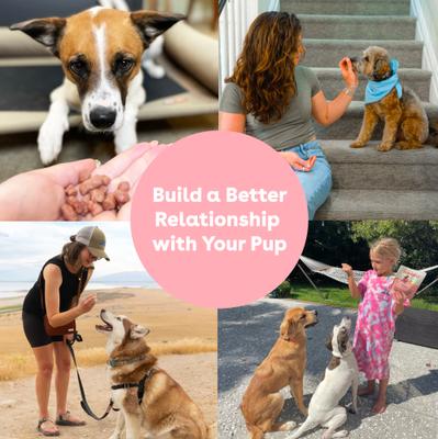 Show full view: Pupford Train Duck & Veggies Natural Freeze-Dried Dog Treats, 5-oz pouch slide 7 of 10