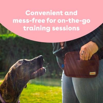 Show full view: Pupford Train Salmon Natural Freeze-Dried Dog Treats, 2-oz bag slide 6 of 13