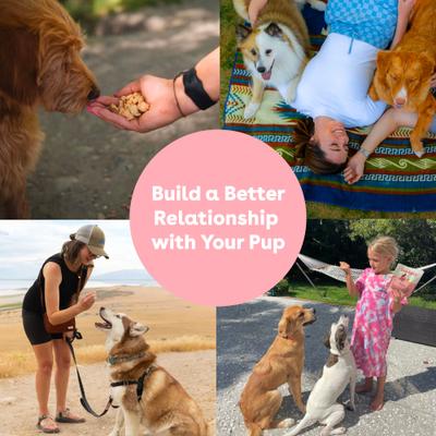 Show full view: Pupford Train Salmon Natural Freeze-Dried Dog Treats, 2-oz bag slide 8 of 13