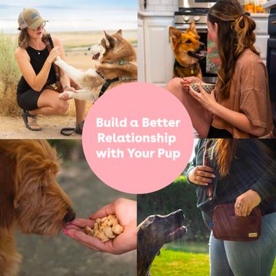 Show full view: Pupford Train Surf & Turf Natural Freeze-Dried Dog Treats, 5-oz pouch slide 7 of 10