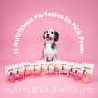 Show in main carousel: Pupford Train Surf & Turf Natural Freeze-Dried Dog Treats, 5-oz pouch slide 9 of 10