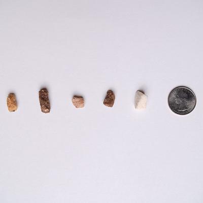 Show full view: Pupford Train Sweet Potato Natural Freeze-Dried Dog Treats, 4-oz bag slide 8 of 13