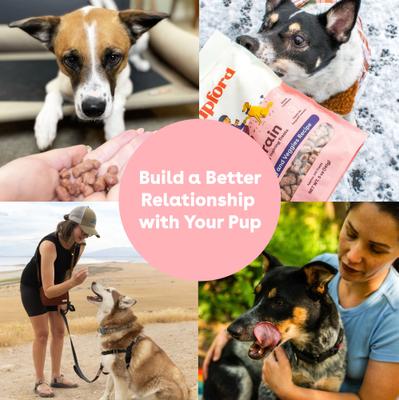 Show full view: Pupford Train Turkey & Veggies Natural Freeze-Dried Dog Treats, 3-oz pouch slide 8 of 10