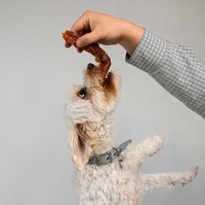 Show full view: Pupford Turbo Tendon Dog Chews, 15 count slide 4 of 9