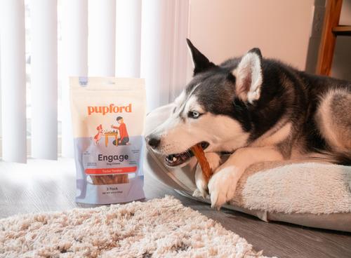 Show full view: Pupford Turbo Tendon Dog Chews, 15 count slide 6 of 9