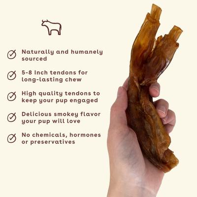 Show full view: Pupford Turbo Tendon Dog Chews, 5 count slide 4 of 9