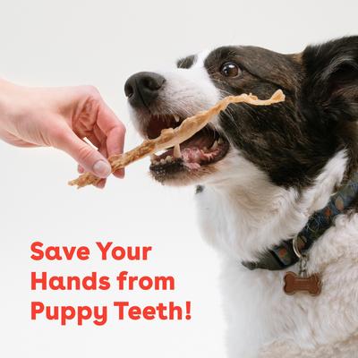 Show full view: Pupford Turkey Tendons Dog Chews, 10 count slide 5 of 11