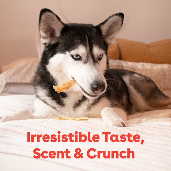 Show full view: Pupford Turkey Tendons Dog Chews, 10 count slide 6 of 11