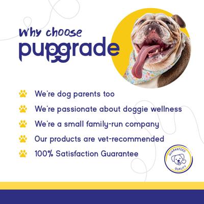 Show full view: PupGrade Digestive Support Supplement for Dogs, 60 count slide 7 of 7