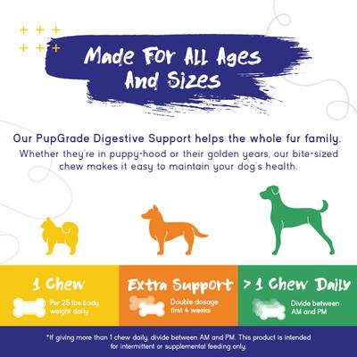 Show full view: PupGrade Digestive Support Supplement for Dogs, 60 count slide 5 of 7