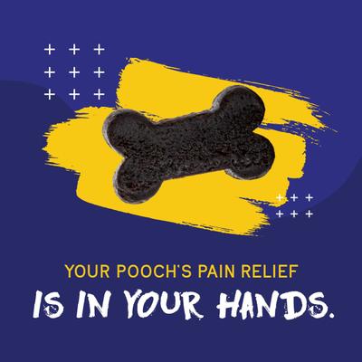 Show full view: PupGrade Joint Support Supplement for Dogs, 60 count slide 6 of 8