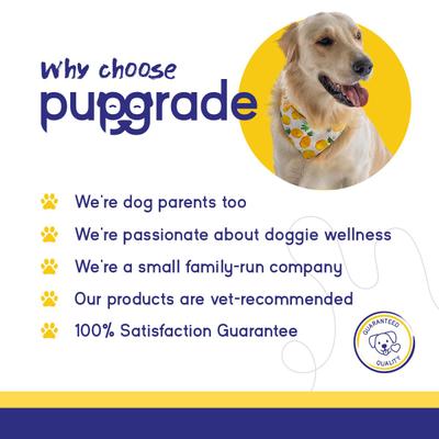 Show full view: PupGrade Multivitamin Supplement for Dogs, 30 count slide 8 of 8