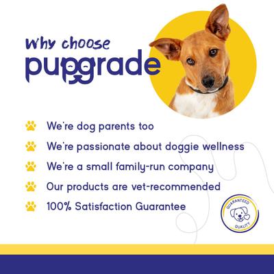 Show full view: PupGrade Skin & Coat Omega-3 Fish Oil Soft Chew Supplement for Dogs, 60 count slide 6 of 6