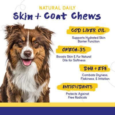 Show full view: PupGrade Skin & Coat Omega-3 Fish Oil Soft Chew Supplement for Dogs, 60 count slide 4 of 6