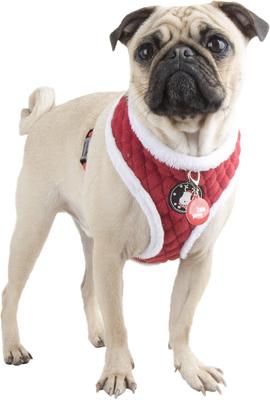 Show full view: Puppia Blitzen A Dog Harness, Red, Medium: 15.4 to 22-in chest slide 3 of 5