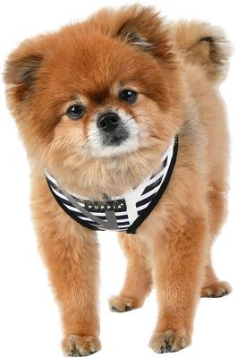 Show full view: Puppia Briton A Dog Harness, Black, X-Large slide 3 of 5