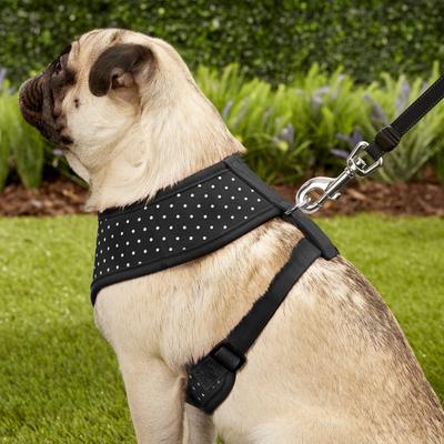 Show full view: Puppia Dotty Print Polyester Back Clip Dog Harness, Black Dotty, Medium: 14.2 to 22.8-in chest slide 5 of 11