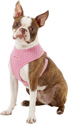 Show full view: Puppia Dotty Print Polyester Back Clip Dog Harness, Pink Dotty, Medium: 14.2 to 22.8-in chest slide 3 of 11