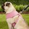 Show in main carousel: Puppia Dotty Print Polyester Back Clip Dog Harness, Pink Dotty, Medium: 14.2 to 22.8-in chest slide 5 of 11