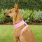 Show in main carousel: Puppia Dotty Print Polyester Back Clip Dog Harness, Pink Dotty, Small: 12.6 to 18.9-in chest slide 5 of 11
