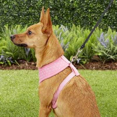 Show full view: Puppia Dotty Print Polyester Back Clip Dog Harness, Pink Dotty, Small: 12.6 to 18.9-in chest slide 5 of 11