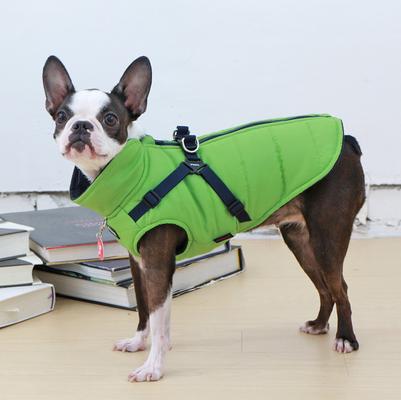 Show full view: Puppia Mountaineer II Coat Dog Harness, Green, X-Large: 22.8-in chest slide 4 of 6