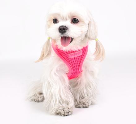 Show full view: Puppia Neon Soft Dog Harness, Pink, Large slide 4 of 6