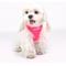 Show in main carousel: Puppia Neon Soft Dog Harness, Pink, X-Large slide 4 of 6
