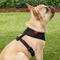 Show in main carousel: Puppia Polyester Back Clip Dog Harness, Black, Medium: 16 to 22-in chest slide 4 of 9