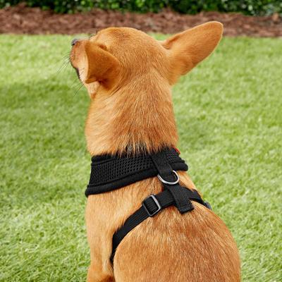Show full view: Puppia Polyester Back Clip Dog Harness, Black, Small slide 4 of 9