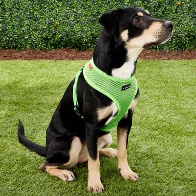 Show full view: Puppia Polyester Back Clip Dog Harness, Green, Large: 20 to 29-in chest slide 3 of 9