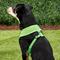 Show in main carousel: Puppia Polyester Back Clip Dog Harness, Green, Large: 20 to 29-in chest slide 4 of 9