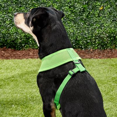Show full view: Puppia Polyester Back Clip Dog Harness, Green, Large: 20 to 29-in chest slide 4 of 9