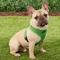 Show in main carousel: Puppia Polyester Back Clip Dog Harness, Green, Medium: 16 to 22-in chest slide 3 of 9