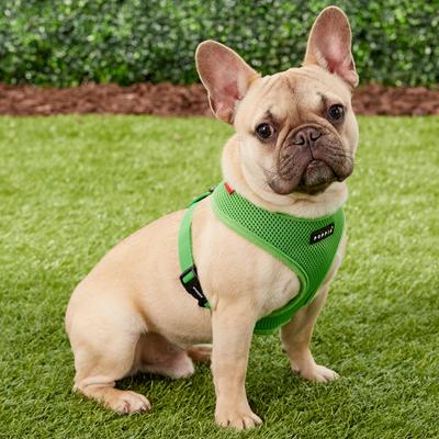 Show full view: Puppia Polyester Back Clip Dog Harness, Green, Medium: 16 to 22-in chest slide 3 of 9