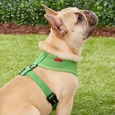 Show full view: Puppia Polyester Back Clip Dog Harness, Green, Medium: 16 to 22-in chest slide 4 of 9