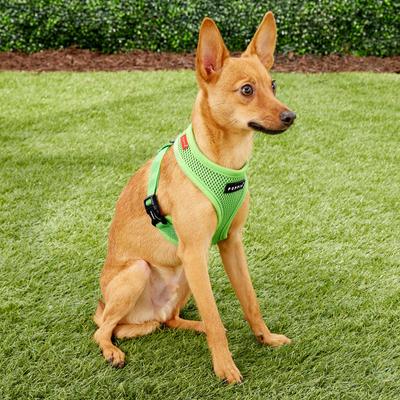 Show full view: Puppia Polyester Back Clip Dog Harness, Green, Small slide 4 of 10