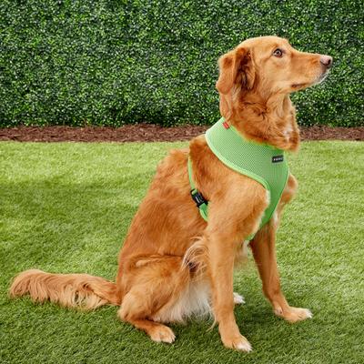 Show full view: Puppia Polyester Back Clip Dog Harness, Green, X-Large: 22 to 32-in chest slide 4 of 10