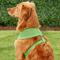 Show in main carousel: Puppia Polyester Back Clip Dog Harness, Green, X-Large: 22 to 32-in chest slide 5 of 10