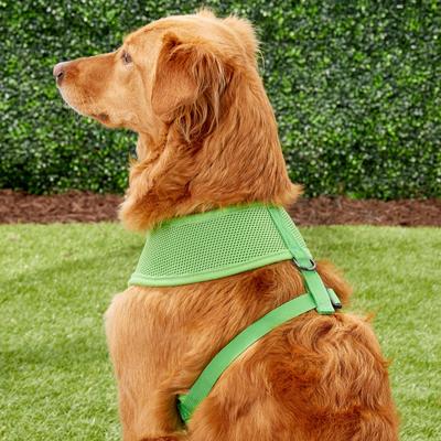Show full view: Puppia Polyester Back Clip Dog Harness, Green, X-Large: 22 to 32-in chest slide 5 of 10