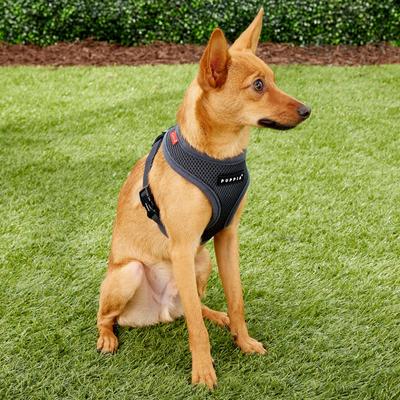 Show full view: Puppia Polyester Back Clip Dog Harness, Grey, Small: 12 to 18-in chest slide 3 of 9