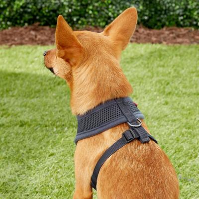 Show full view: Puppia Polyester Back Clip Dog Harness, Grey, Small: 12 to 18-in chest slide 4 of 9