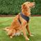 Show in main carousel: Puppia Polyester Back Clip Dog Harness, Grey, X-Large: 22 to 32-in chest slide 3 of 9
